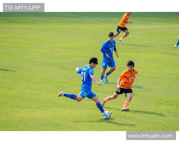 平江足球明星风采展示及其成就回顾,带你了解他们的精彩瞬间与荣誉历程