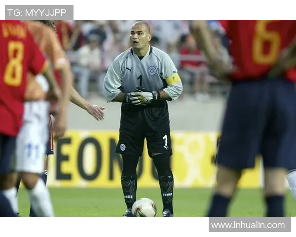 足球明星奇拉维特的精彩瞬间与职业生涯回顾图片展示